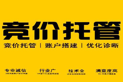 SEM竞价托管助力企业突破案例